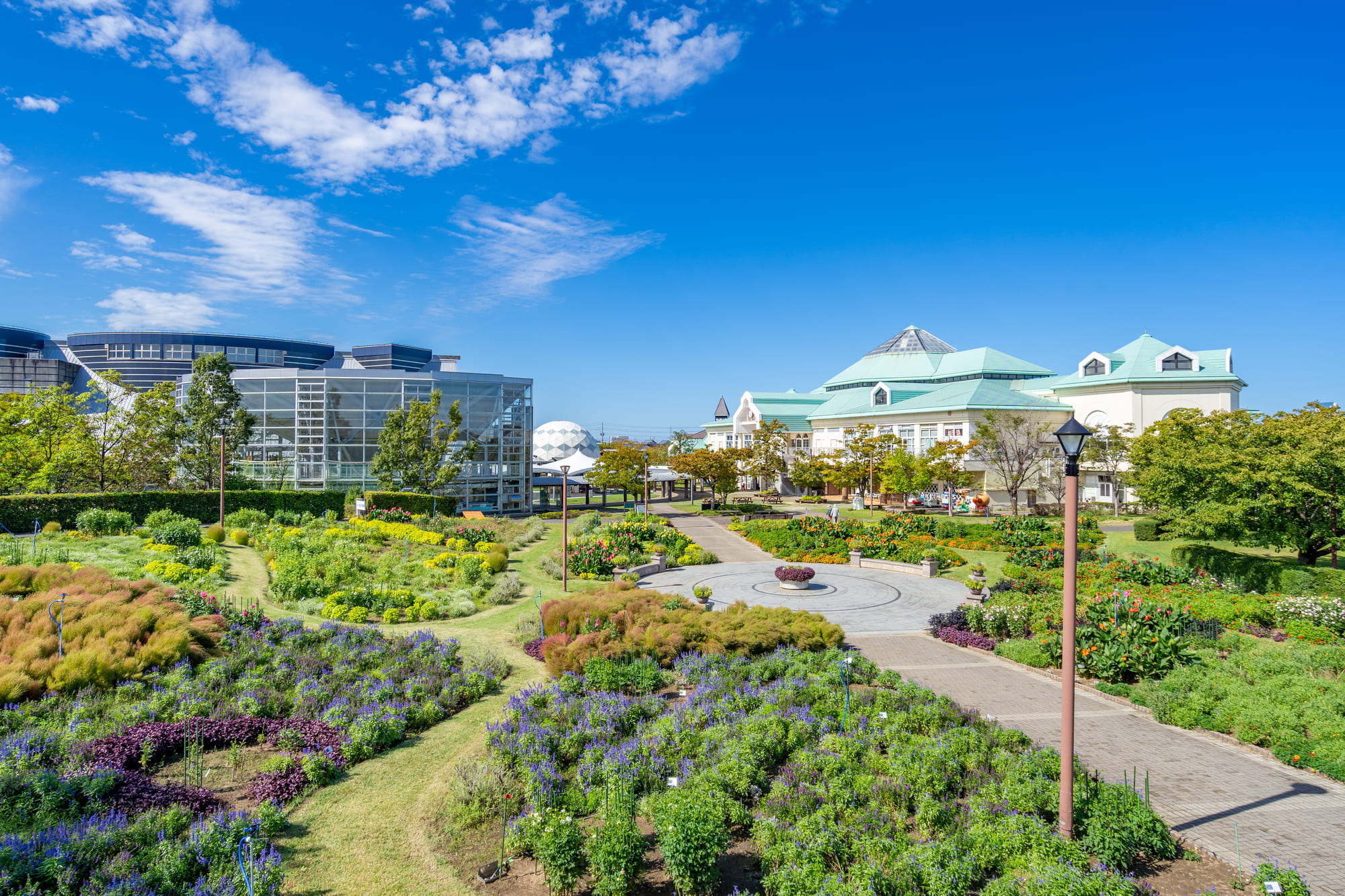 新潟市西区